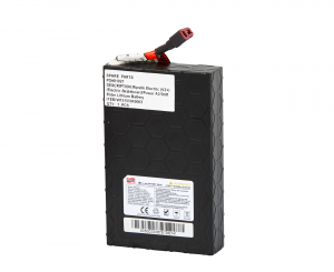 Battery (Electric Skateboard / Drift Rider / Power A2 / RipStik Electric)