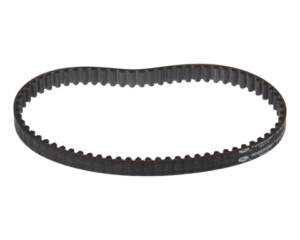 Primary Belt (Stage2 M1)